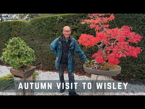 Autumn Visit to Wisley