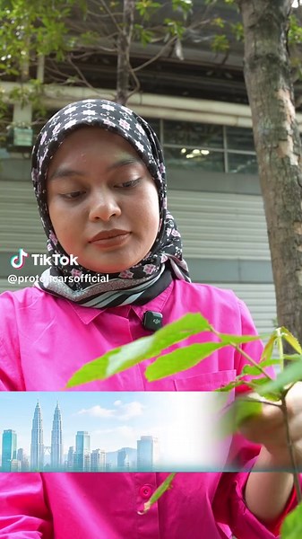 Baru cakap mau beli kereta, terus kena interview macam mau pinjam duit. 😭 Nasib baik All-New SAGA ada jawapan untuk soalan-soalan Kakak — kabin sejuk hingga 15.2°C dan Wireless Apple CarPlay & Android Auto tanpa perlu pening cari cable. 😎 Bila sudah test sendiri, terus lulus bah! Inilah Sedan Ikonik Malaysia yang memang berbaloi! 👉🏼 Jom kenal All-New SAGA lebih dekat bah! https://www.proton.com/models/all-new-saga #HiPROTON #INSPIRINGCONNECTIONS #AllNewSaga #IntelligenceThatThrills #Malaysia