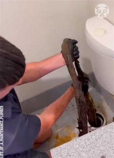 3.7M views · 4.7K reactions | This has to be plumber's worst nightmare! Partner: life_of_a_maintenance_plumber IG: https://www.instagram.com/life_of_a_maintenance_plumber | Earth Wonders | Facebook