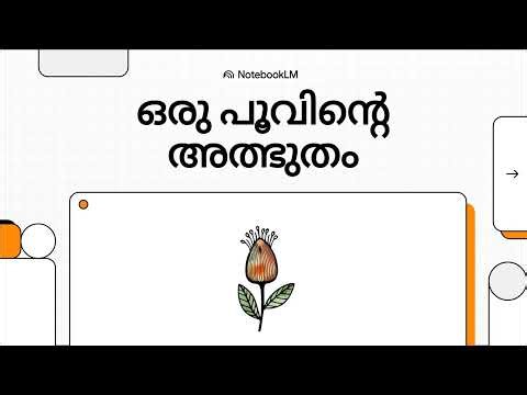 DOUBLE FERTILISATION IN PLANTS | Class 12| Biology chapter 2 | Narrative