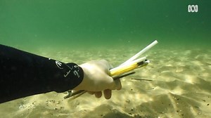 10K views · 81 reactions | Heading out for Friday drinks? Go easy on the straws.  A global citizen science project launched in Manly today will recruit students and volunteers to count and record the plastic pollution found in the ocean. Read more: https://ab.co/2KCXkZc. | ABC Sydney | Facebook