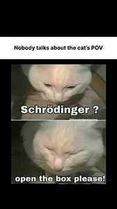Nobody Talks About the Cat’s POV -------------------- Schrödinger’s Cat is a famous thought experiment where a cat in a box is both alive and dead until observed. But have you ever considered the cat’s perspective? --------------------------------------- ➡️ Explanation: ---------------- From the outside, it’s a paradox. But from the cat’s POV, it’s just pure existential dread. The experiment highlights quantum superposition, but nobody wonders how the cat feels being stuck in an uncertain fate. 