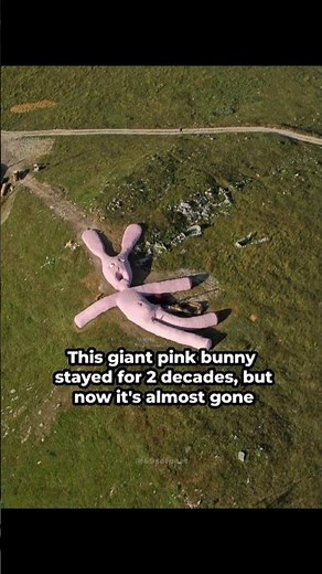 The giant pink bunny #pinkbunny #sculpture #italy