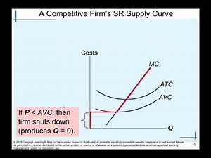 Chapter 14: Firms in Competitive Markets