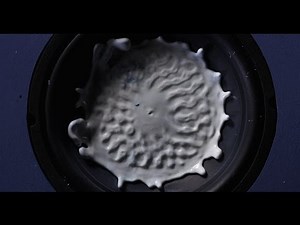 Jack White - High Ball Stepper (2014) | IMVDb