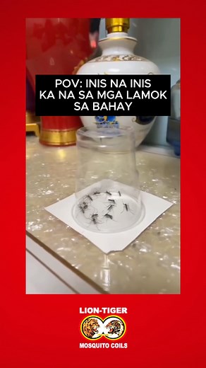 Is this called “Ang ganti ng api?” Lion-tiger lang malakas! 😎 Bili na sa pinakamalapit na Supermarket. #FeelTheKnockDownPower #LionTiger 🦁🐯 | Lion-Tiger Mosquito Killer