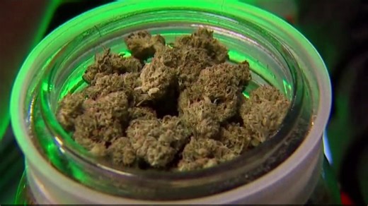 New Buffalo residents voice concerns over marijuana dispensary surge