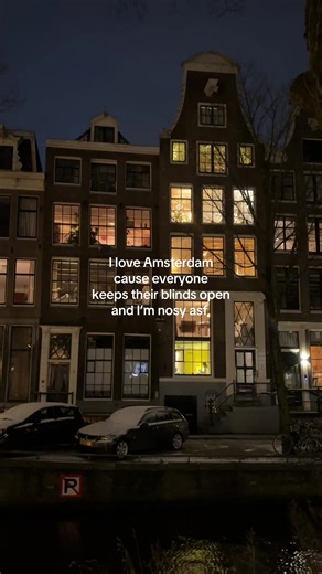 I need to know why this is a thing and how all the apartments are 10/10 #amsterdam #interiordesign #netherlands #fyp