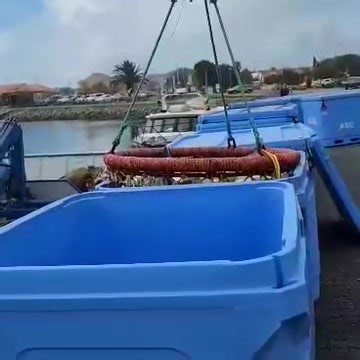FV Karie Unloading its catch of australian salmon in Port Lincoln few years back | On The Deck - Footage from Australia's Commercial Fisherman