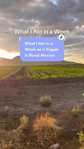 Vegan Eating in Rural Mexico: Exploring Plant-Based Mexican Meals