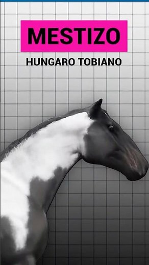 How to GET the TOBIAN HUNGARIAN HALF BREED in RDR2 #reddeadredemption2 #arthurmorgan #editor