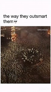 I loved the scene 🎥 the Great Wall: European mercenaries searching for black powder become embroiled in the defense of the Great Wall of China against a horde of monstrous creatures. 📺 watch on: hbo max, prime video & Apple TV #explorepage #explorepost #funnymemes #memes #memestagram #memesdaily #wholesome #wholesomememes #fashion #fashionstyle #jokes #movie #movies #viralmovies | Netflixnmovies