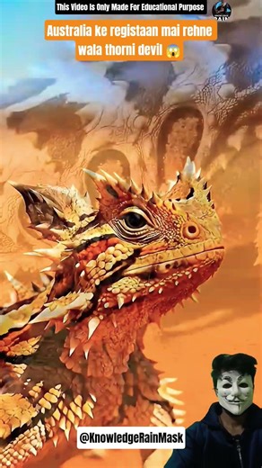 Australia ke registaan mai rehne wala thorni devil 😱#shortvideo #animalfacts