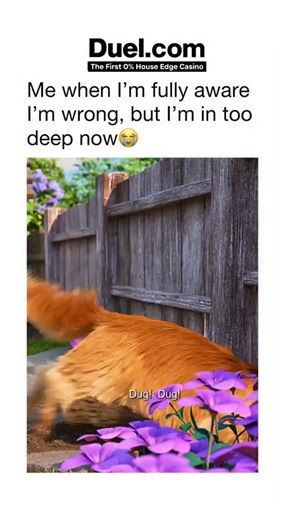 Movies ¦ Entertainment ¦ Pond on Instagram: "Him trying to explain the past tense 😭 🎬 Up 78-year-old Carl Fredricksen ties thousands of balloons to his house to chase a lifelong dream, only to discover young Russell is along for the ride. Between heartwarming adventures and hilarious misunderstandings, Carl learns that sometimes life’s lessons come in the form of a kid teaching you the basics… like past tense! 🎈💛 📺 Watch on: Disney+, Apple TV, Amazon Prime Video Follow @Movipond for more re