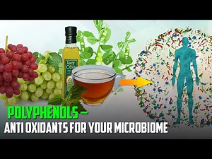 POLYPHENOL Rich FOODS For Your MICROBIOME