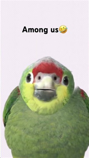 Among us🤣 #roblox #music #memes #funny