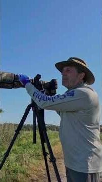 Florida Bird Photography #photography #nikonz8 #birdphotography #tamronlens