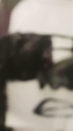 Thalapathi vijay goat og jeevan drawing 😲😲😲😁🙂😃😀😄👍