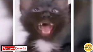 Before You Spy Your Partner's Phone Watch This 🤣🤣🤣🤣link👇kwa comments 🤣🤣🤣 | Kunguri Comedian