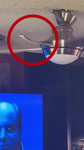 the man who sold the world na TikTok