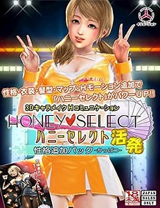 Honey Select VR by Illusion | LewdVRGames