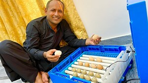 1M views · 32K reactions | Incubator For Egg Hatching    | Village Food Secrets | Facebook
