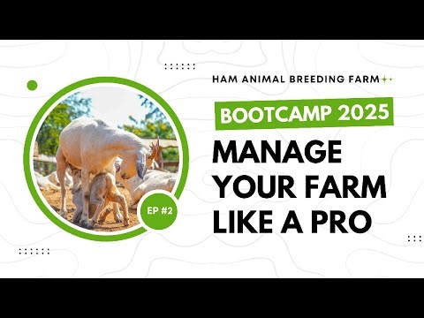 Run a Profitable Goat Farm with These Management Tricks - Goat Farming Bootcamp 2025