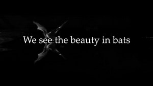 We think all bats are beautiful. This National Bat Appreciation Day, April 17, please encourage your loved ones to appreciate bats. Conservation starts with appreciation! #NationalBatAppreciationDay | Bat Conservation International