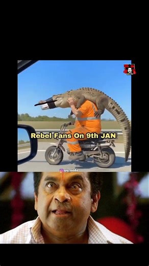 raja saab fans on Jan 9 #rajasaab #prabhas #fans