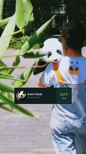 Cute Animals and INFP Personality Type | MBTI Animal Companions