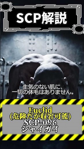 【警告】この顔、1ドットでも見たら人生終了です。【SCP-096 シャイガイ】#scp #scp096 #都市伝説 #ホラー #解説