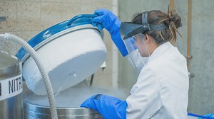 Preserving cells: Minnesota startup 'BlueCube Bio' develops new approach