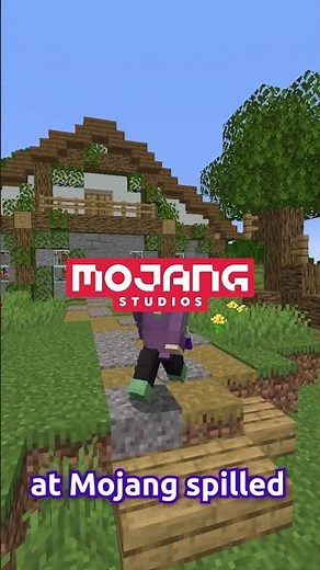 The Minecraft Authentication Servers...