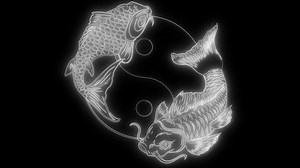 Animation Yin Yang That Lights Stock Footage Video (100% Royalty-free) 1049506774 | Shutterstock