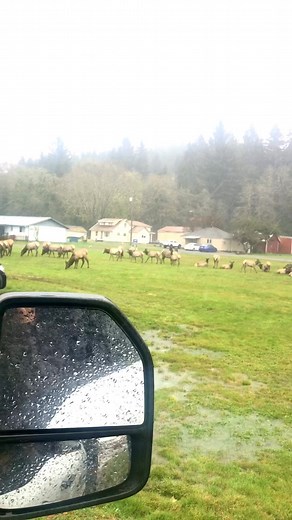 3.6K views · 28 reactions | RUTH 1:16 " Stay faithful where God leads you, He will bless you!" | Mike Michael | Facebook