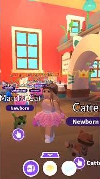 Roblox Adopt Me Getting Legendary Matcha Cat! How To Get All The New Cats!