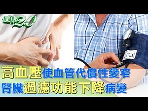 高血壓使血管代償性變窄 腎臟過濾功能下降病變 健康2.0 ‪@tvbshealth20‬