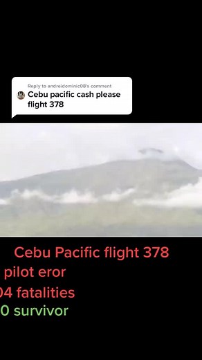 Reply to @andreidominic08 Cebu Pacific flight 387 crash animation