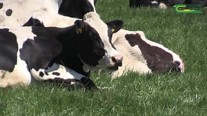 Interested in a career in agriculture? Why not check out our full time level 5 course, perfect for leaving cert students! Gurteen College is ready to help you achieve your full potential- and our applications are currently open! Check out our website, or contact us today for all the information. | Gurteen College