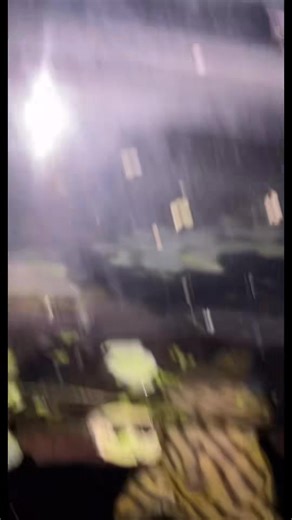 420K views · 5.9K reactions | Adding New Fish to Fish Tank #cichlids #aquarium #fish #fishtank #petlover #cichlidsociety #fishkeeping #pet #aquaticlife #fyp | Rob’s Aquatics | Facebook