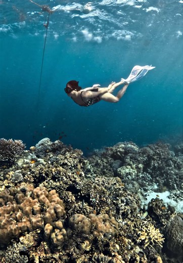 Experience the Thrill of Freediving in Panglao