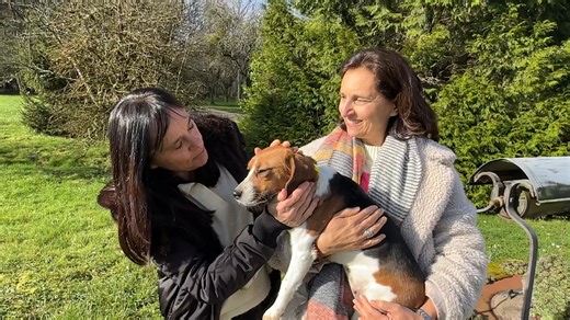La BoBette Yuqi devient le premier chien de la vie de Maria. 👏 Cette beagle libérée de l'univers de l'expérimentation animale depuis quelques semaines va lui apprendre ce que signifie adopter un chien. Cette BoBette, qui n'était pas destinée à la vie domestique, ni à la vie tout court, et ne connaît rien du lien qui se créé habituellement dès le plus jeune âge entre un chien et un humain, est aussi vierge que Maria en relation "maître et chien'". La BoBette Yuqi ouvre un nouveau chapitre de son