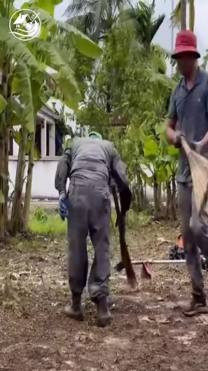 8.7K views · 186 reactions | Clean up satisfaction #EpicCleanup #HistoryUncovered #LawnTransformation #cleaning #clean | Clean Up TV | Facebook