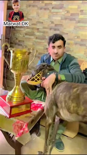 2.7K views · 95 reactions | آل پاکستان کنٹری بریڈ گرے ہاؤنڈ بمقام پڑھال چکوال فسٹ پوزیشن صابر خان لکی مروت چیترا چیلنجر گروپ۔۔ کوھلی شاہ حسین گروپ بہت بہت مبارک ہو | King Riyam Gul DK | Facebook