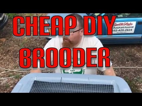 DIY Cheap quick easy chicken brooder!