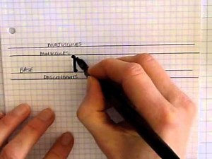 Callig Basics IV Guidelines