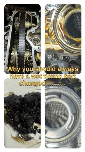 Why you should always change a Wet Timing Belt