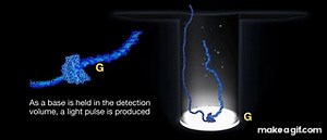 Introduction to SMRT Sequencing on Make a GIF
