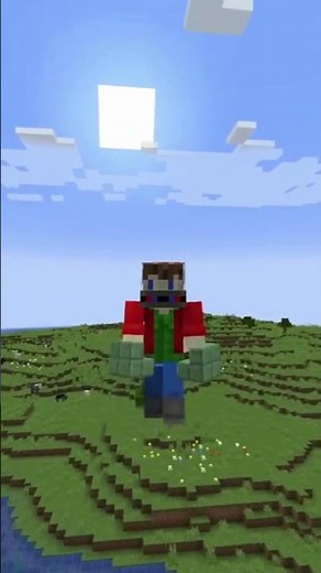 The Longest Minecraft Block Name #minecraft #gaming #facts