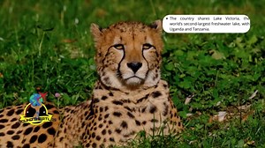 Discover Kenya: A Journey Through Nature, History & Traditions